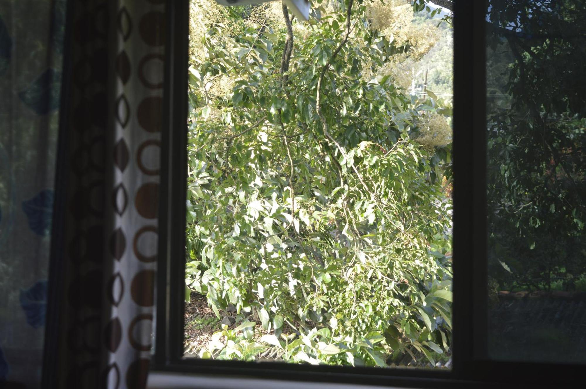 Green Castle Residency Nedumkandam ภายนอก รูปภาพ